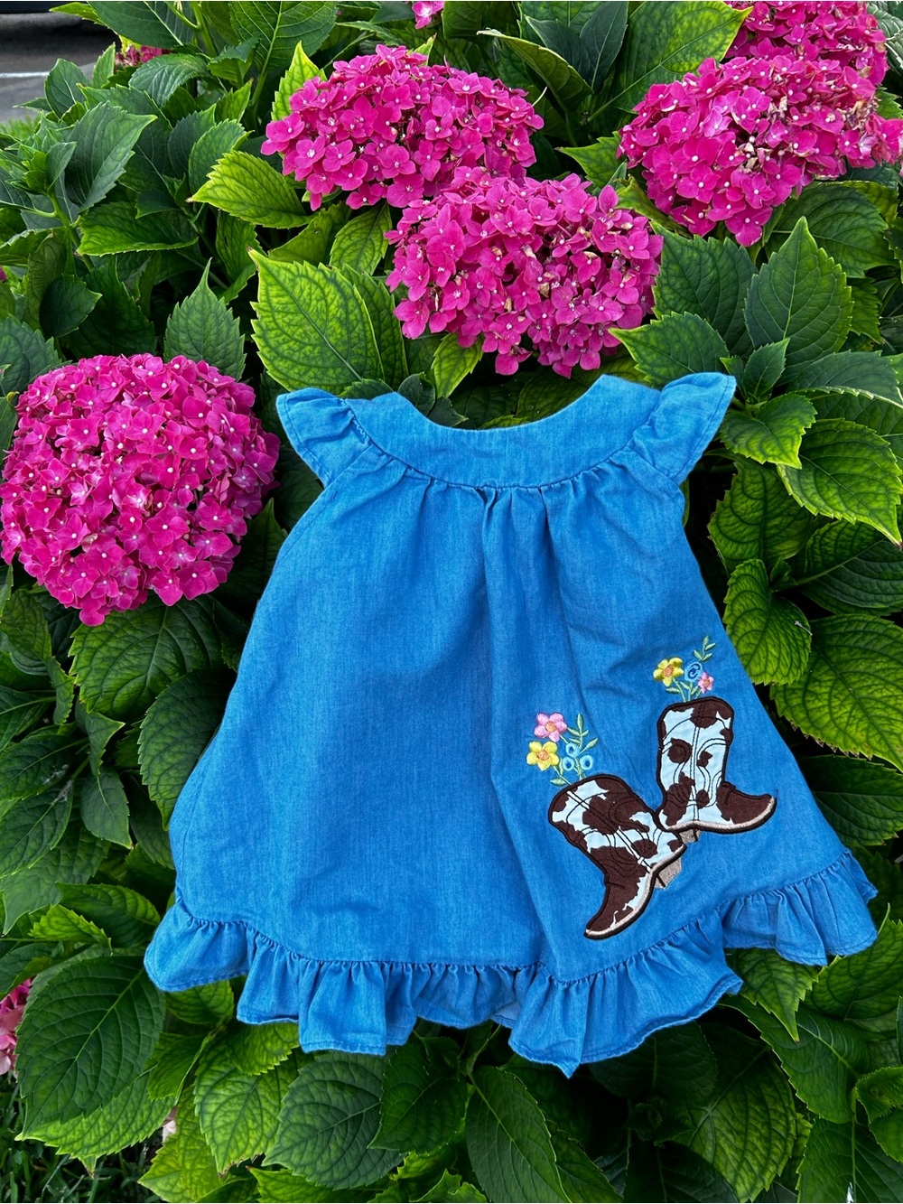 Rodeo Romp Girls Dress